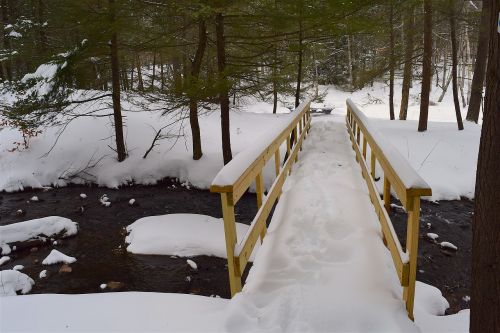 bridge snow forest