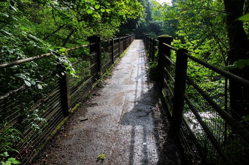 bridge nature green