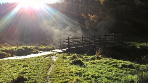 bridge sun light