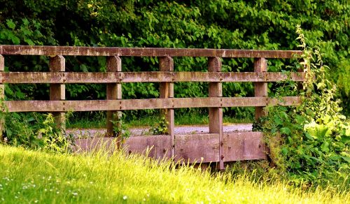 bridge bach park