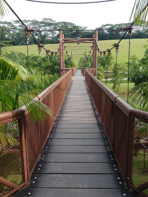 bridge outdoors nature