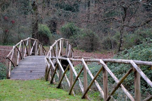 bridge ponte di legno forest