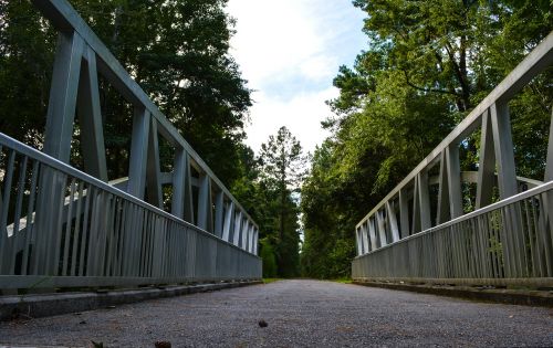 bridge trail nature