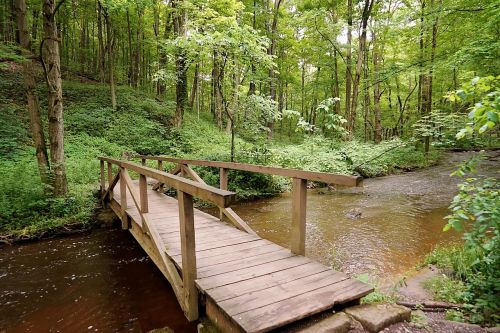 bridge woods creek