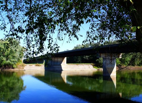 bridge river trees