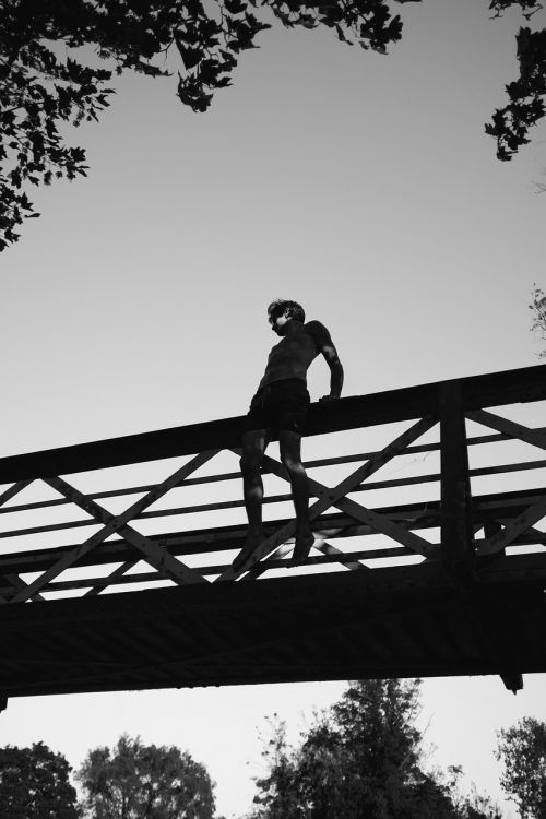 bridge infrastructure trees