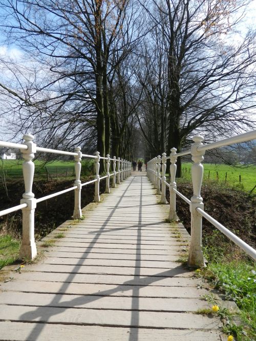 bridge pathway nature