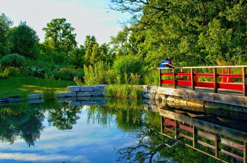 bridge nature lake