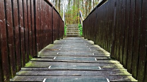 bridge footbridge water