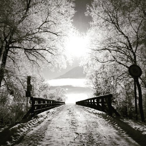 bridge sun winter