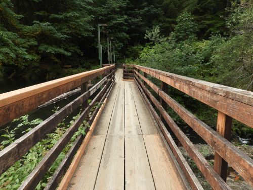 bridge path wooden