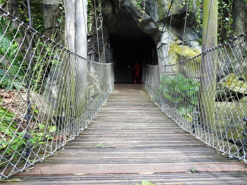 bridge wooden bridge wooden