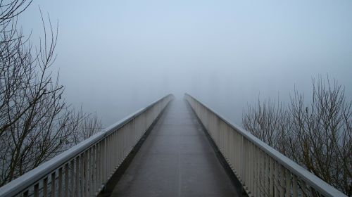 bridge fog web