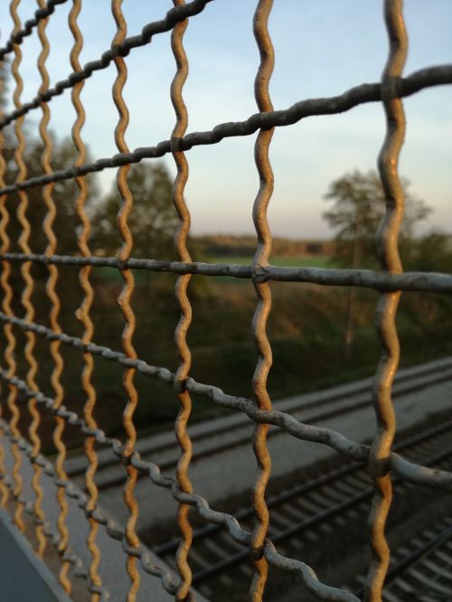 bridge trellis tracks