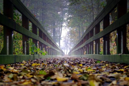 bridge wooden the fog