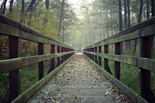 bridge long wooden