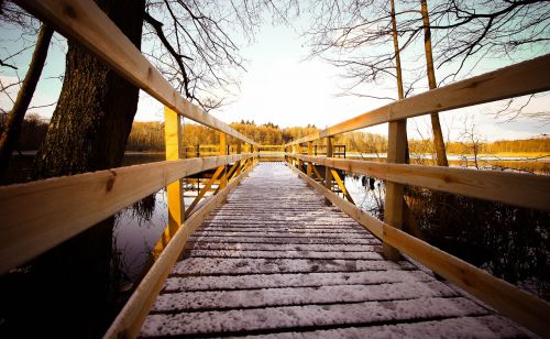 bridge at the court of nature