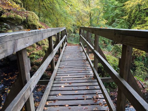 bridge wood nature