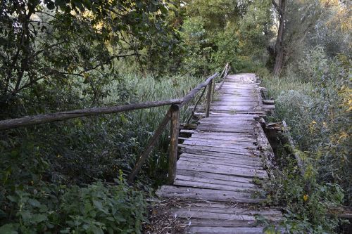 bridge old mouldering