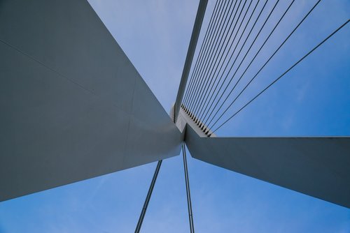 bridge  erasmus  rotterdam