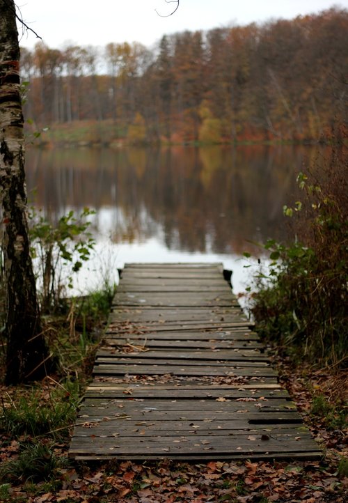 bridge  wooden  lake