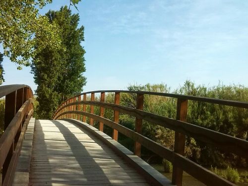 bridge tree path