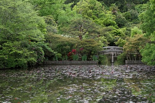 bridge  garden  japanese