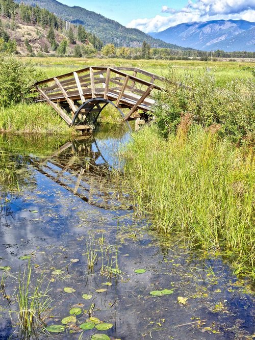 bridge  stream  peaceful