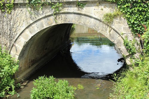 bridge  river  nature