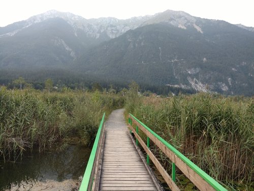 bridge  water  swamp