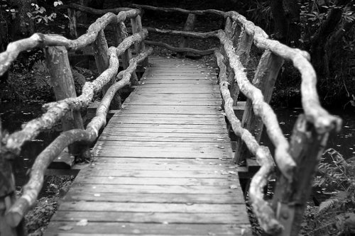 bridge  forest  woods