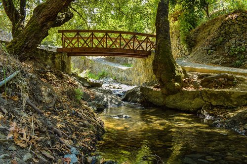 bridge  wooden  river