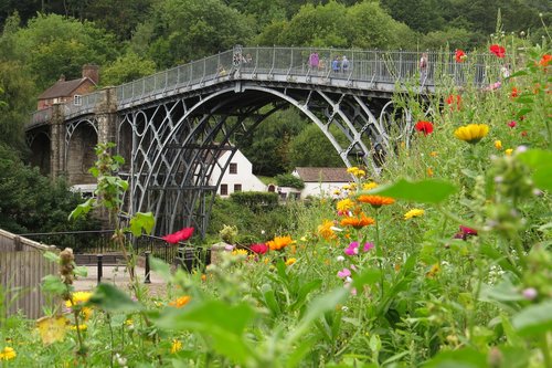 bridge  nature  landscape