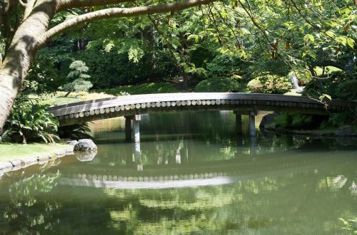 bridge wood bridge peaceful spot