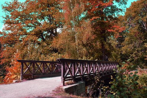 bridge  park  trees