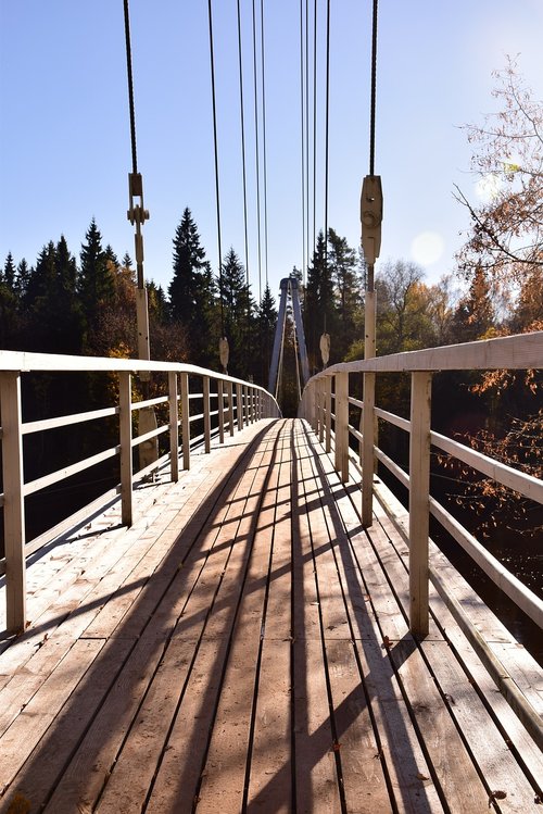 bridge  autumn  nature