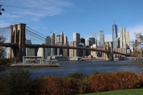 bridge  brooklyn  skyline