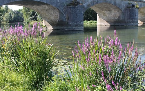 bridge  river  water