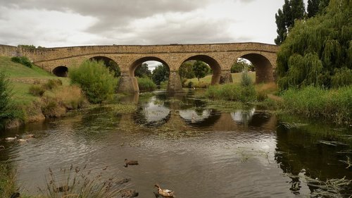 bridge  river  ducks