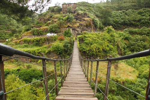 bridge  natural  landscape