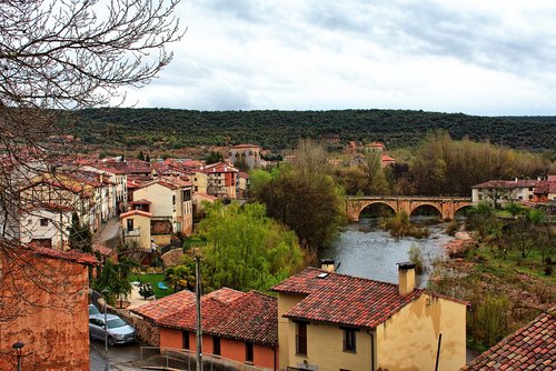 bridge  nature  landscape