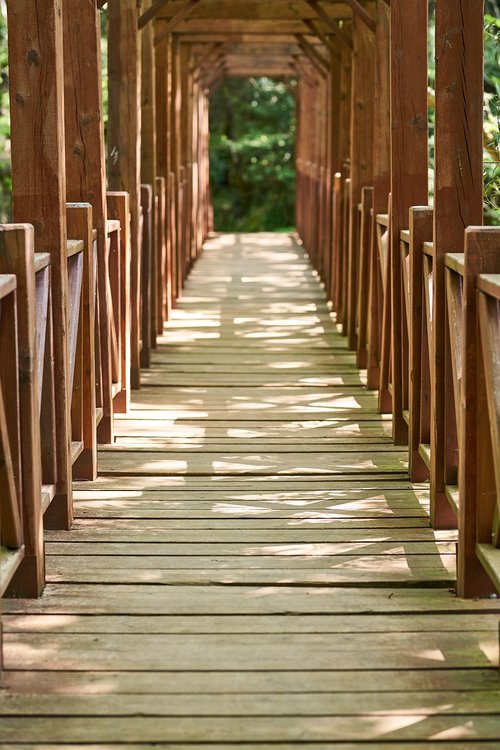 bridge  wood  wood-fibre boards