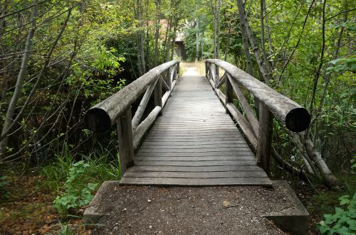 bridge nature creek