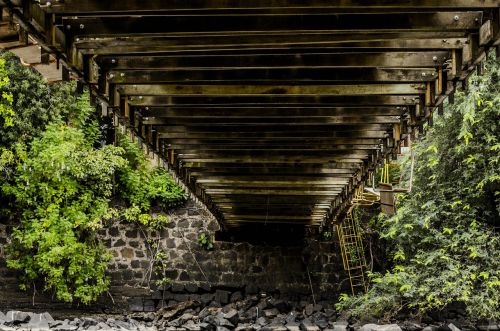 bridge architecture landscape