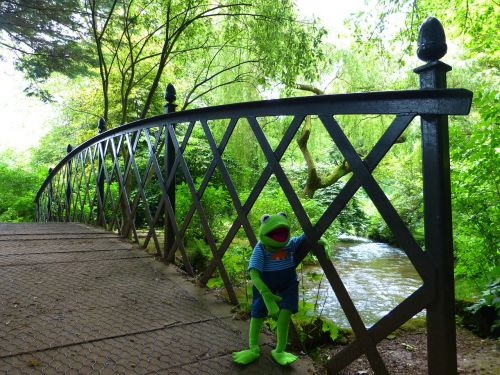 bridge kermit frog