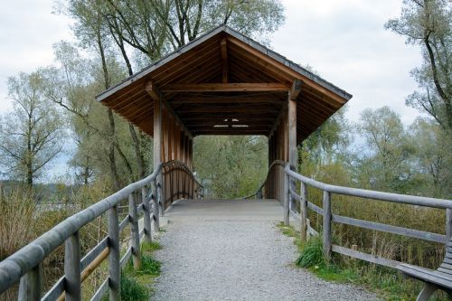 bridge wood wooden bridge