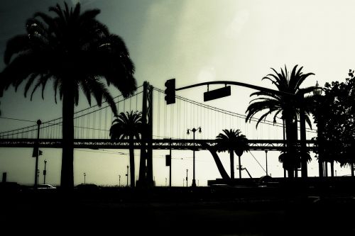 bridge silhouette palms