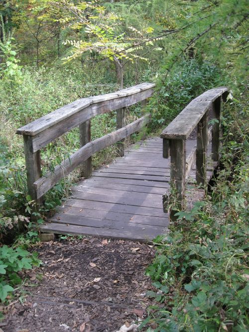 bridge woods path