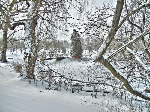 bridge winter scenery canada