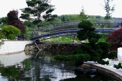 bridge pond nature